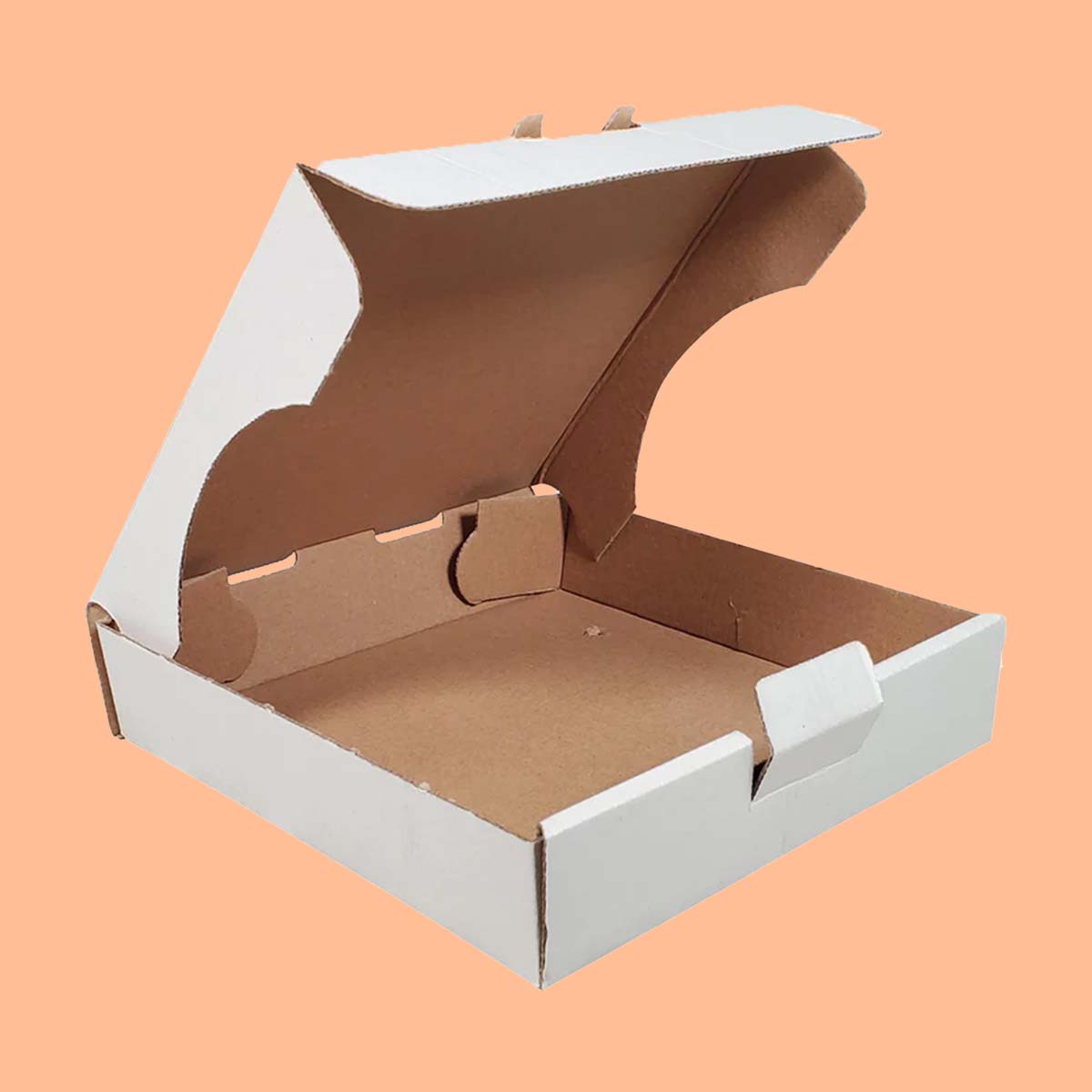 Pizza Boxes in an alternative colorway