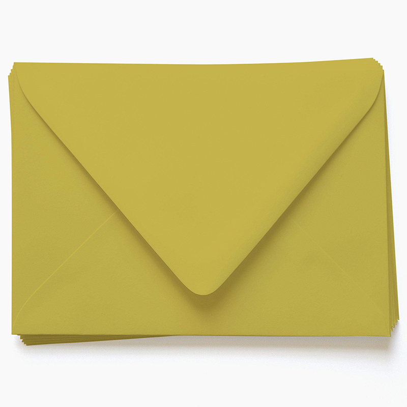 Bamboo Envelopes opened to show the inside print and construction