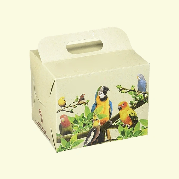 Cardboard Pet Carriers Boxes