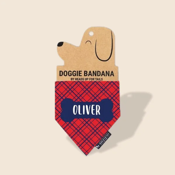 Dog Bandana Boxes opened to show the inside print and construction