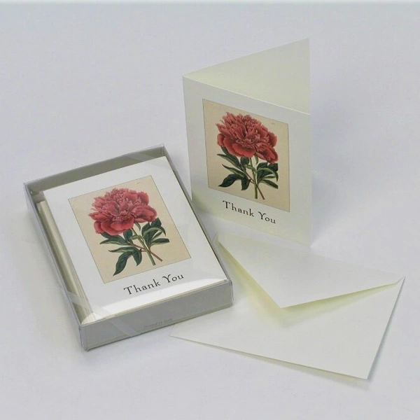 Greeting Card Boxes opened to show the inside print and construction