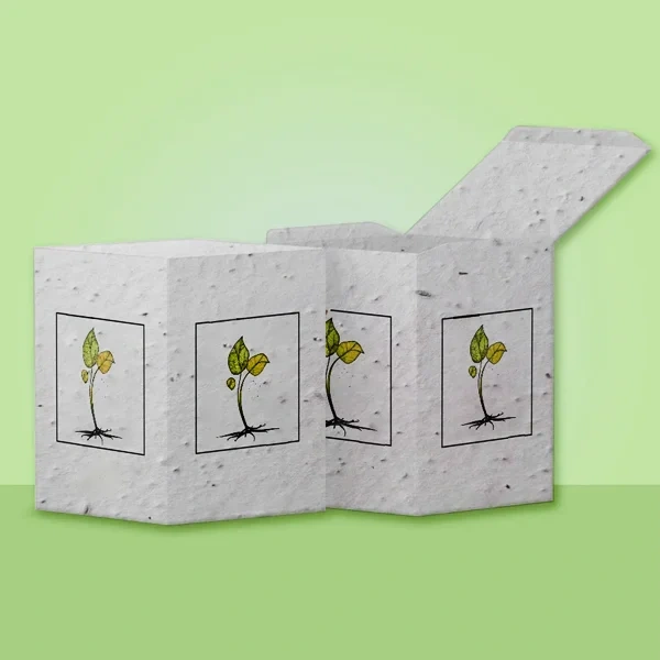Seed Paper Boxes — custom stationery by Packmio Seed Paper Boxes in an alternative colorway