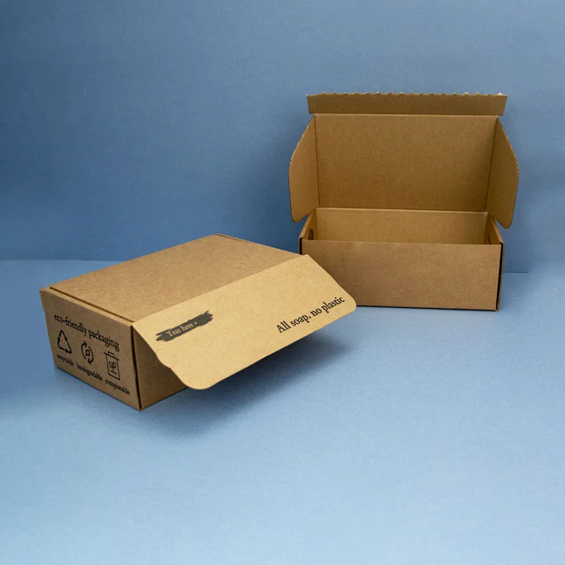 Sustainable Boxes beside the product it was made to hold